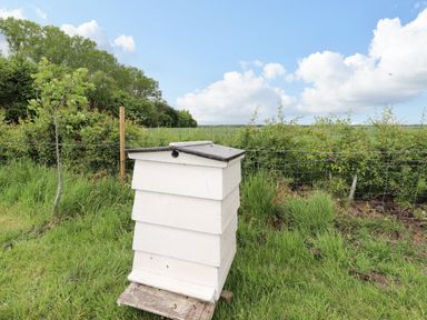 A white bee hive on grass with trees and a wire fence in the background at Honeybee Lodge in Stixwould near Woodhall Spa