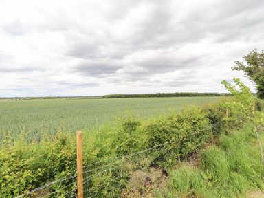 A rural field with green crops and a wire fence with wooden posts and bushes at Honeybee Lodge in Stixwould near Woodhall Spa