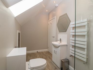 A bathroom with a toilet sink cabinet hexagonal mirror and towel radiator at 1 Crud Y Mor in Barmouth