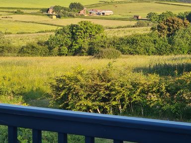A view of green fields and trees with farm buildings in the distance seen from behind a blue railing at Vendee Lodge Thorness Bay Holiday Park near Cowes