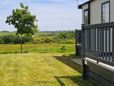 A grassy yard with a small tree and a railing of a building overlooking fields at Vendee Lodge Thorness Bay Holiday Park near Cowes