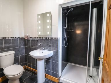A bathroom with a toilet sink and shower at Caerffynon Bach in Dyffryn Ardudwy
