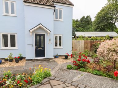The front entrance of a light blue house with a dark door and surrounding flower beds at Mews Cottage in Laugharne