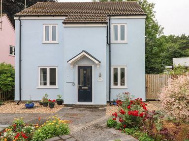 A light blue house with a dark blue door surrounded by plants and flowers at Mews Cottage in Laugharne
