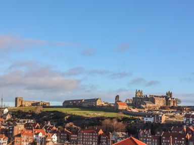 A hillside with historic buildings and ruins above a town with red brick houses at The View in Whitby