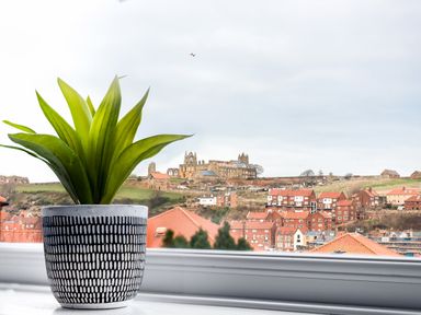 A potted plant on a windowsill with a view of buildings and a historic abbey at The View in Whitby