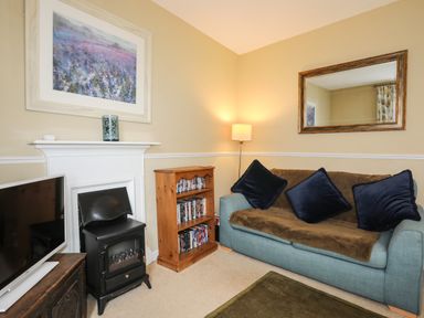 A living room with a blue sofa with cushions a bookshelf a television on a stand a fireplace a floor lamp and a large mirror at Amelie Cottage in Beaumaris Anglesey