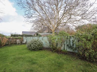 A garden with grass and bushes and a leafless tree and two white metal chairs next to a blue wooden fence