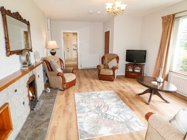 A living room with armchairs a fireplace a rug a coffee table and a television at Glebe Farm Cottage in Rathfriland County Down