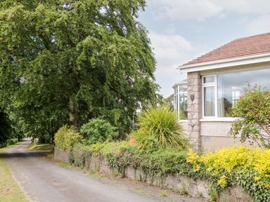 A house with plants and trees along a narrow road at Glebe Farm Cottage in Rathfriland County Down
