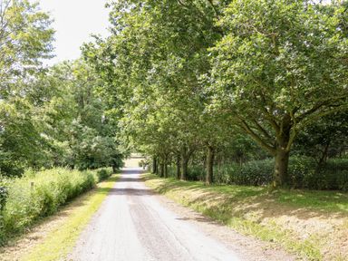 A gravel driveway lined with trees and shrubbery at Glebe Farm Cottage Rathfriland County Down