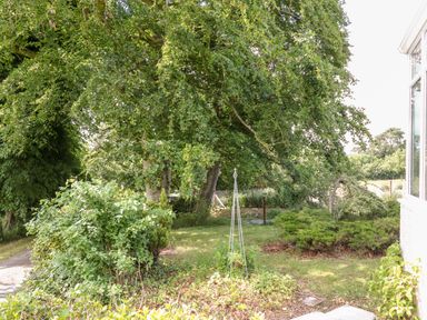 A garden area with bushes, large trees, and a lawn next to a building at Glebe Farm Cottage in Rathfriland, County Down