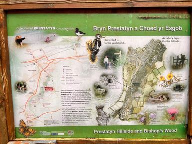 An outdoor information board with a map and details of Prestatyn Hillside and Bishops Wood showing walking paths and local wildlife at The Nest in Prestatyn