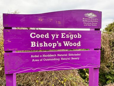 A wooden purple sign for Bishop's Wood indicating Area of Outstanding Natural Beauty at Clwydian Range and Dee Valley