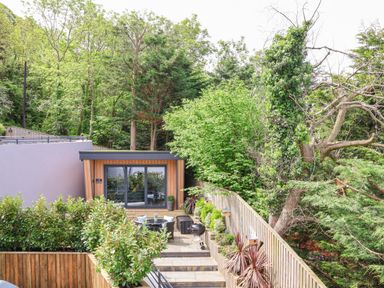 A backyard with a small wooden building with glass doors surrounded by trees and plants at The Nest in Prestatyn