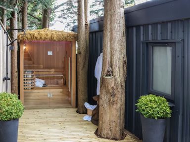 A sauna with wooden steps and potted plants at The Nest in Prestatyn