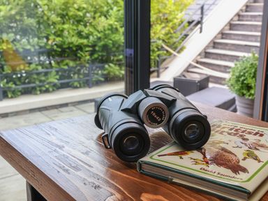 A wooden table with binoculars and a bird guide book at The Nest in Prestatyn