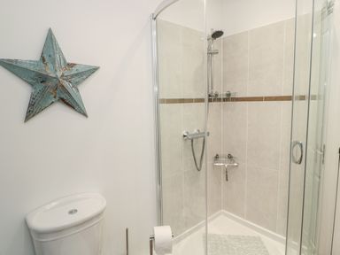 A bathroom with a shower enclosure and a toilet with a decorative star on the wall at Lavenna in Alnwick