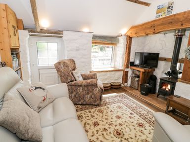 A living room with a sofa a patterned armchair a TV and a wood burning stove at Gull Cottage in Hermon near Newborough