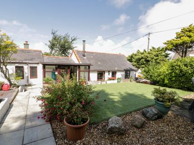 A garden with potted plants gravel and grass lawn outside white cottages at Gull Cottage Hermon near Newborough