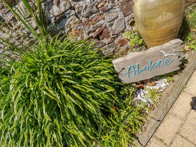 A garden area with green plants stone wall large clay pot and wooden sign reading Abalone at Abalone in Bude
