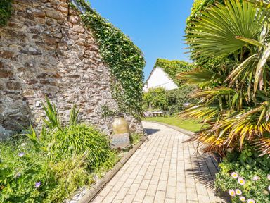 A stone wall with ivy next to a paved pathway with plants and a large vase at Abalone in Bude