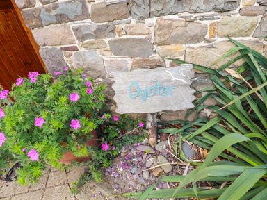 A wooden sign with Oyster next to pink flowers and green plants by a stone wall at Oyster Atlantic Highway near Bude