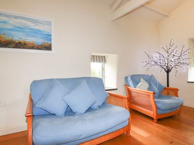 Two blue cushioned armchairs with wooden frames next to small windows in a room with wooden floor and a lighted decorative tree at Oyster Atlantic Highway near Bude