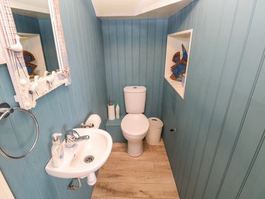 A small bathroom with a white toilet and sink blue paneled walls and a decorative mirror at Landfall in St Twynnells near Pembroke