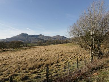 A grassy field with bare trees and mountains in the background at Bridgeway House in Blaenau Ffestiniog
