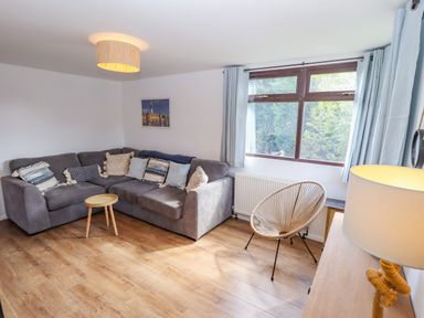A living room with a gray sectional sofa and cushions a small wooden table a round wicker chair a window with curtains and a lamp on a wooden cabinet at Rollin Dunes in Humberston Lincolnshire