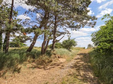 A dirt pathway surrounded by grass trees and shrubs under a blue sky at Rollin Dunes Humberston Lincolnshire