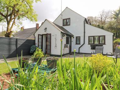 A white house with a garden and patio chairs surrounded by plants and a black fence at Wood Brook Cottage in Crowan