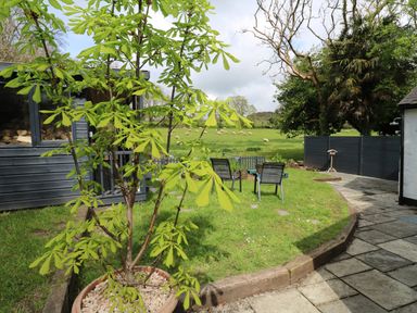 A garden with green plants and outdoor chairs on a lawn with a shed and a fence at Wood Brook Cottage in Crowan