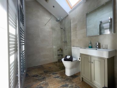 A bathroom with a walk-in shower toilet and sink with cabinet at Pen- y- Bryn @ Canllefaes in Penparc near Cardigan