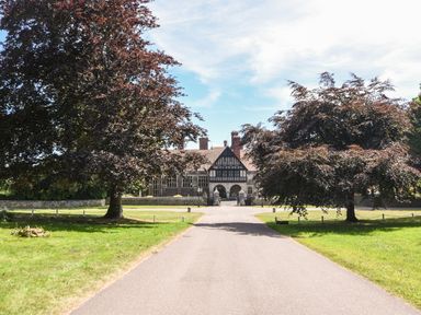 A pathway leading to a large house with trees on both sides at 12 The Gardens in Rousdon