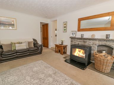 A living room with a leather sofa fireplace and wood basket at Bwthyn Pengwern in Saron near Caernarfon