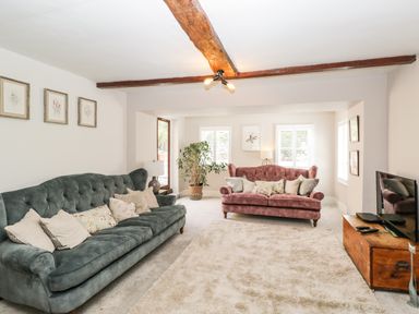 A living room with two sofas a wooden chest with a television and a potted plant at Cuckoo Cottage in Upton Upon Severn