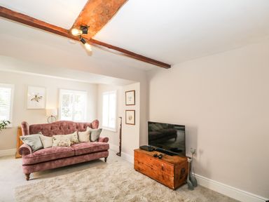 A living room with a pink sofa a wooden chest holding a television and two cat figurines at Cuckoo Cottage in Upton Upon Severn