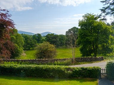 A grassy field with trees and a stone wall next to a road at Swinside Lodge in Newlands Valley near Keswick