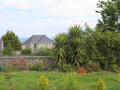 A garden with various plants and shrubs with a brick wall and houses in the background at Haddef Penmaenmawr in Penmaenmawr