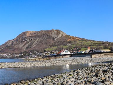 A rocky shoreline with swans swimming near a town at the base of a large mountain at Haddef Penmaenmawr in Penmaenmawr