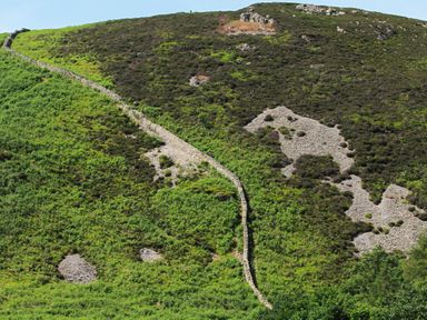 A hillside with a stone wall running across green and brown vegetation at Haddef Penmaenmawr in Penmaenmawr