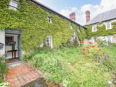 The exterior of a house with ivy covering the walls and a garden with red flowers at Scarvagh House in Scarva near Loughbrickland
