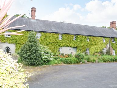 A long house covered with ivy and surrounded by bushes and flowers at Scarvagh House Scarva near Loughbrickland