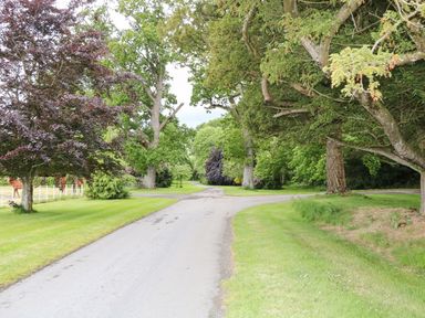 A paved path surrounded by large trees and grassy areas with horses behind a fence at Scarvagh House Scarva near Loughbrickland