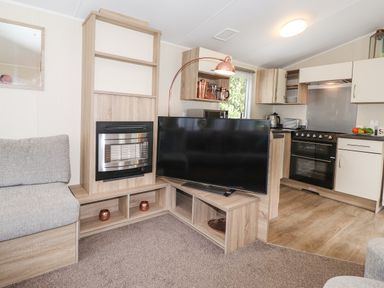 A living area with a television, fireplace, sofa, and kitchen appliances at Herdwick Cabin in Troutbeck 68 White Cross Bay Holiday Park near Windermere