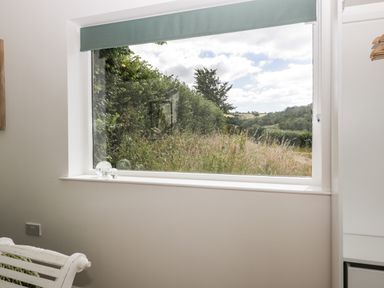 A window with a green roller blind showing tall grass and trees outside at The Old Kennels in Harcombe near Sidford
