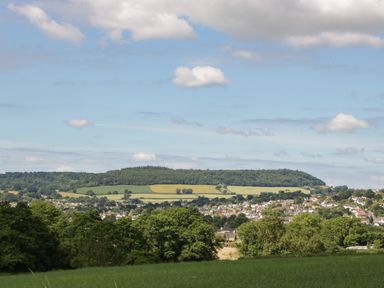 A landscape with green fields and trees and houses in the distance at The Old Kennels in Harcombe near Sidford