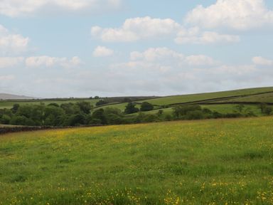 A field with flowers and trees on hills at The Journeyman Luxury Shepherds Hut Barnoldswick